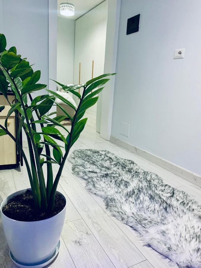 티라나 Cozy Corner 아파트 외부 사진